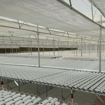Soluzione di serra agricola per tubi d'acqua con film e US 20/metro quadrato