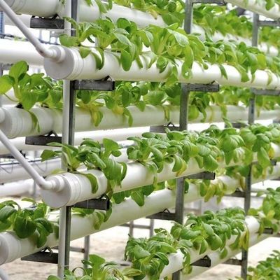 Soluzione di serra agricola per tubi d'acqua con film e US 20/metro quadrato