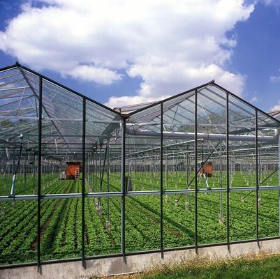 Serra a doppio strato a luce solare moderna su misura per le esigenze di piantagione di funghi