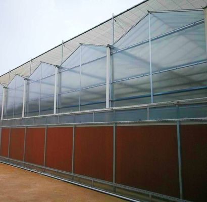 Serra a doppio strato a luce solare moderna su misura per le esigenze di piantagione di funghi