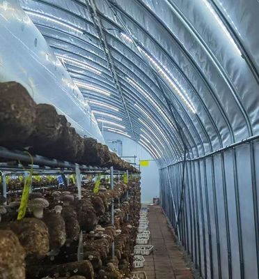 Moderna serra in vetro a luce solare con sistema di irrigazione automatico