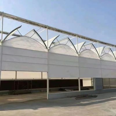 Moderna serra in vetro a luce solare con sistema di irrigazione automatico