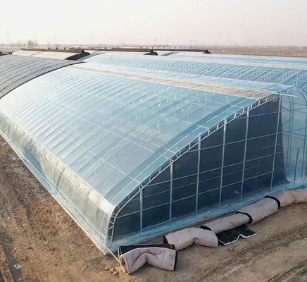 Moderna serra in vetro a luce solare con sistema di irrigazione automatico