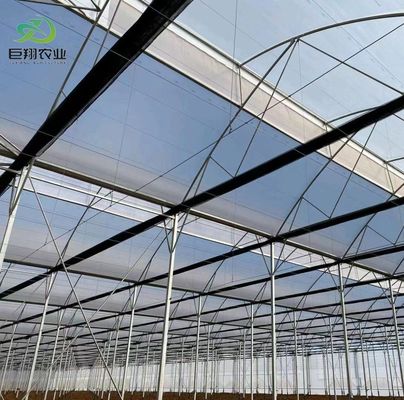 Moderna serra in vetro a luce solare con sistema di irrigazione automatico