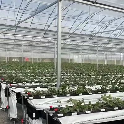 Materiali da costruzione durevoli Serra a pellicola multi-span con struttura in acciaio