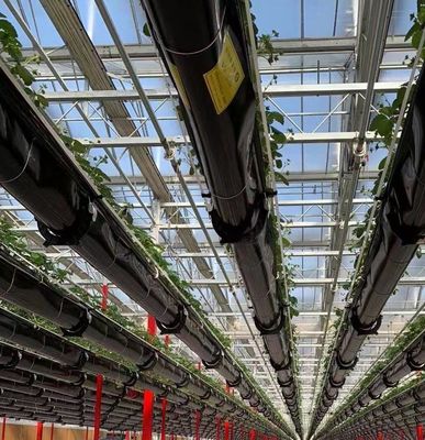Serra solare intelligente a doppio strato per l'agricoltura con rete antinsetti