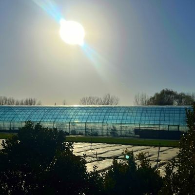 Serra solare intelligente a doppio strato per l'agricoltura con rete antinsetti