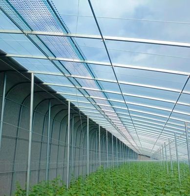 Serra solare intelligente a doppio strato per l'agricoltura con rete antinsetti