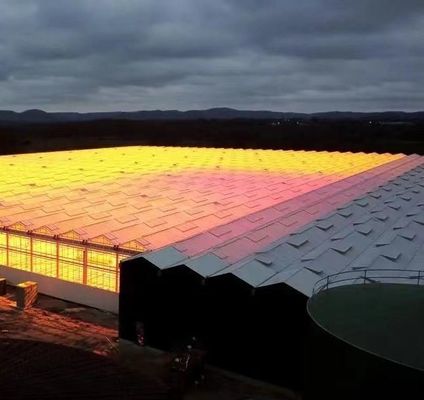 Serra solare intelligente a doppio strato per l'agricoltura con rete antinsetti