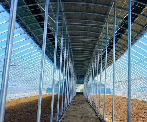 Serra solare intelligente a doppio strato per l'agricoltura con rete antinsetti