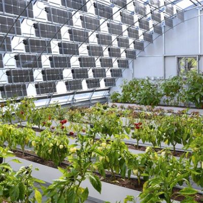 Serra solare fotovoltaica per prestazioni di tipo arco multi-span PE/Po film di plastica