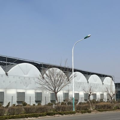 Pagamento iniziale JX-A0050 Serra agricola per tubi d'acqua per la produzione di ortaggi