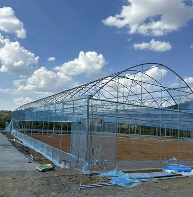 Pagamento iniziale JX-A0050 Serra agricola per tubi d'acqua per la produzione di ortaggi