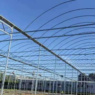 Serra a pellicola multi-span personalizzata per piantare fiori 30 giorni garanzia di rimborso