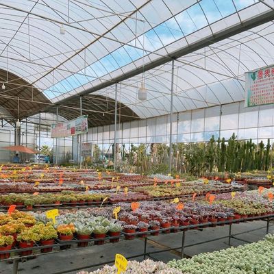 Serra Multi Span con ombra 30 giorni Rimborsi ora in offerta di tempo limitato