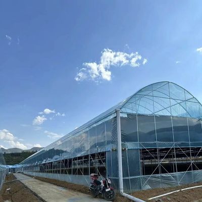 Serra Multi Span con ombra 30 giorni Rimborsi ora in offerta di tempo limitato