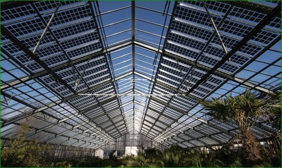 Opzione di personalizzazione di serre fotovoltaiche commerciali per isolamento termico offerta