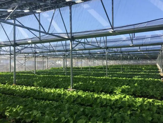 Opzione di personalizzazione di serre fotovoltaiche commerciali per isolamento termico offerta