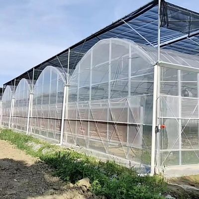 Stati Uniti Serra multi-span a pagamento completo con sistema di irrigazione a goccia e pagamento iniziale