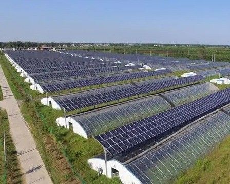 Serra a più strati per la coltivazione idroponica e senza suolo jx-SG-6 con accumulo di calore
