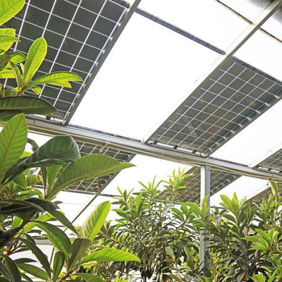 Serra a più strati per la coltivazione idroponica e senza suolo jx-SG-6 con accumulo di calore
