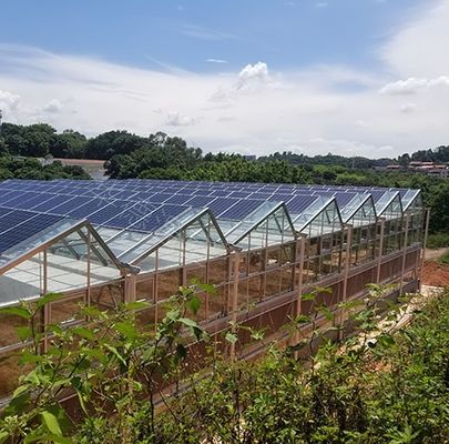 Serra a più strati per la coltivazione idroponica e senza suolo jx-SG-6 con accumulo di calore