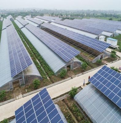 Serra a più strati per la coltivazione idroponica e senza suolo jx-SG-6 con accumulo di calore