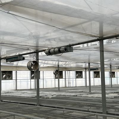 Serra flessibile multi-span per la produzione di ortaggi Peso lordo 20.000kg