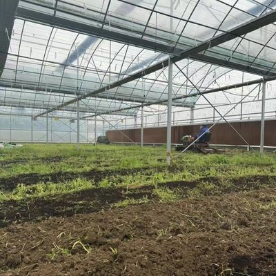 Serra flessibile multi-span per la produzione di ortaggi Peso lordo 20.000kg