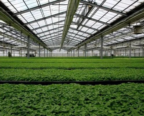 Materiali da costruzione Struttura in acciaio Arco multi-span Serre fotovoltaiche