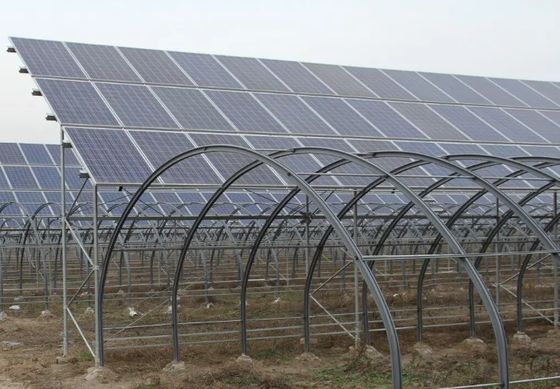 Materiali da costruzione Struttura in acciaio Arco multi-span Serre fotovoltaiche