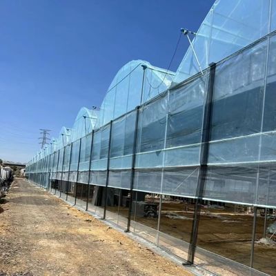 Soluzione di rendimento in serra multi-span personalizzata per la produzione vegetale idroponica