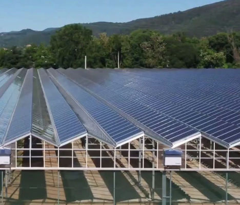 Materiali da costruzione Struttura in acciaio Arco multi-span Serre fotovoltaiche