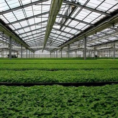 Conservazione del calore da serra con pannelli fotovoltaici e di grande capacità di stoccaggio