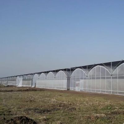 Serra multi-span con irrigazione avanzata sui costi di spedizione e tempi di consegna