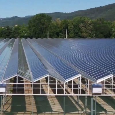 Serra a singolo arco ad alta umidità con tetto a forma di arco/Venloche e pannelli solari