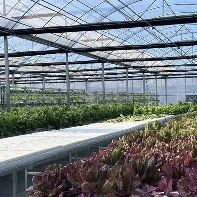 Serra commerciale con pacco di suolo a base di coccopee Dimensione 50,00cm * 60,00cm * 50,00cm