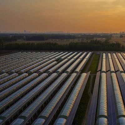 30 giorni Ritorno Rimborsi Doppio strato PE/Po Film di plastica Serra solare fotovoltaica