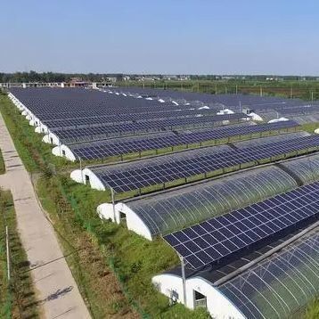 30 giorni Ritorno Rimborsi Doppio strato PE/Po Film di plastica Serra solare fotovoltaica