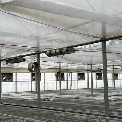 Serra multi-span per la produzione di ortaggi US 20/metro quadrato min. Esempi d'ordine