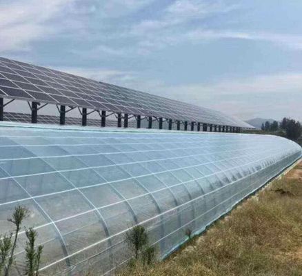 PE/Po Film di plastica Fotovoltaico Serra Innovazione 1209.00cm * 235.00cm * 239.00cm