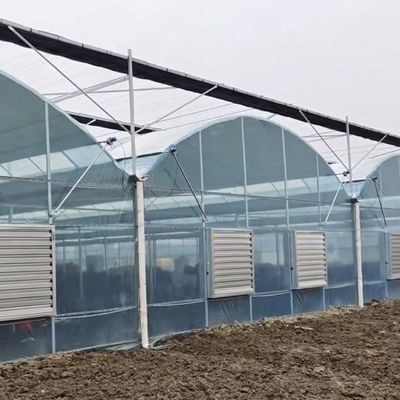 Serra per produzione di ortaggi Po film con sistema di ombreggiatura e rimborsi di 30 giorni