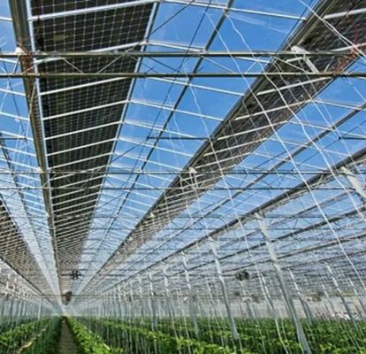 Personalizzazione Arco multi-span Tipo cetriolo Lattuga Serre fotovoltaiche jx-SG-20