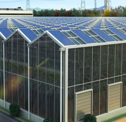 Personalizzazione Arco multi-span Tipo cetriolo Lattuga Serre fotovoltaiche jx-SG-20