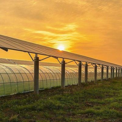 Serra a rivestimento a più strati per l'energia solare 2000.000kg Peso lordo del pacchetto