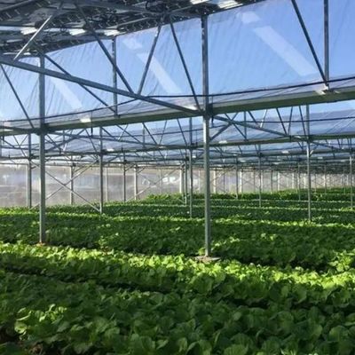 Serre fotovoltaiche commerciali innovative a una o più distanze per una crescita sostenibile