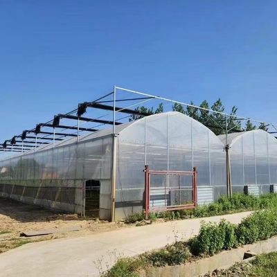 Struttura in acciaio Multi-Span Plastic Greenhouse Package Dimensione 50,00cm * 60,00cm * 50,00cm