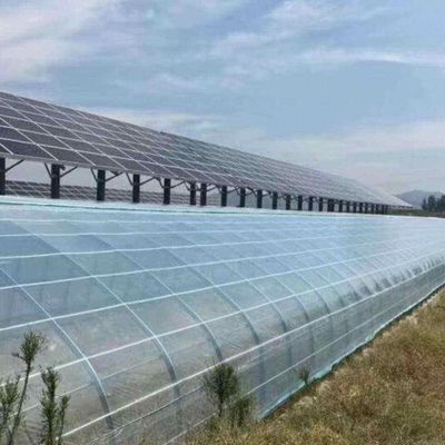 Serre fotovoltaiche commerciali innovative a una o più distanze per una crescita sostenibile