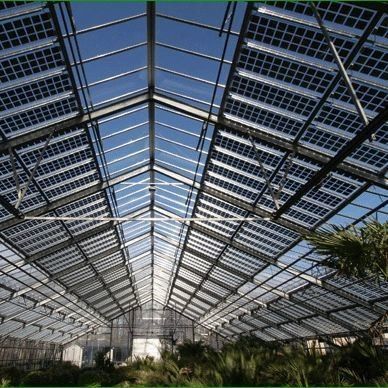 Immagazzinamento di calore Serre fotovoltaiche commerciali a singolo arco Performance duratura