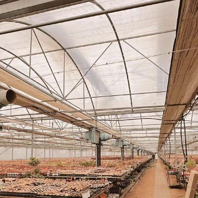 Serra per produzione di ortaggi Po film con sistema di tubi d'acqua e basso costo di spedizione